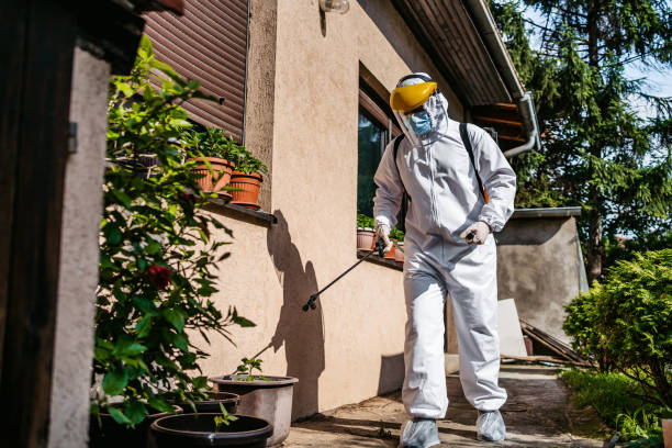 Best Wasp Removal Services  in Agua Dulce, TX