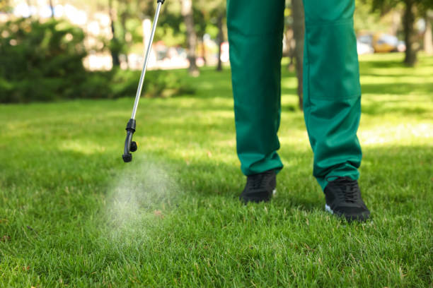 Best Rat Extermination Near Me  in Agua Dulce, TX
