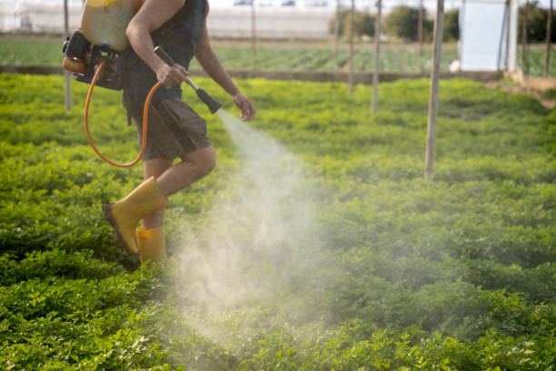 Best Pest Control for Businesses  in Agua Dulce, TX