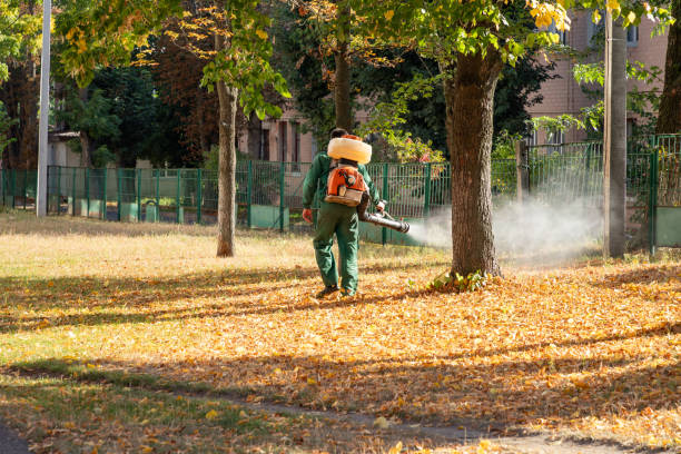 Best Wildlife Control Services  in Agua Dulce, TX