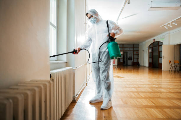Best Local Pest Control Services  in Agua Dulce, TX