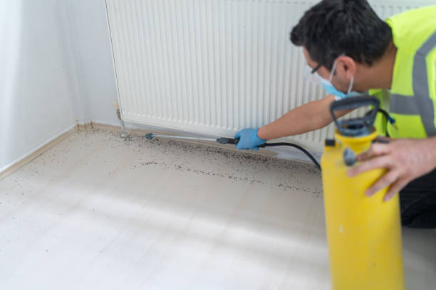 Best Pest Inspection Near Me  in Agua Dulce, TX