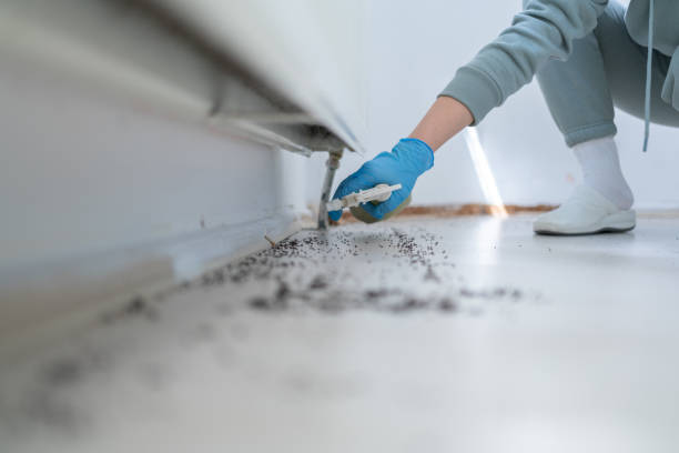 Best Best Pest Control Companies  in Agua Dulce, TX