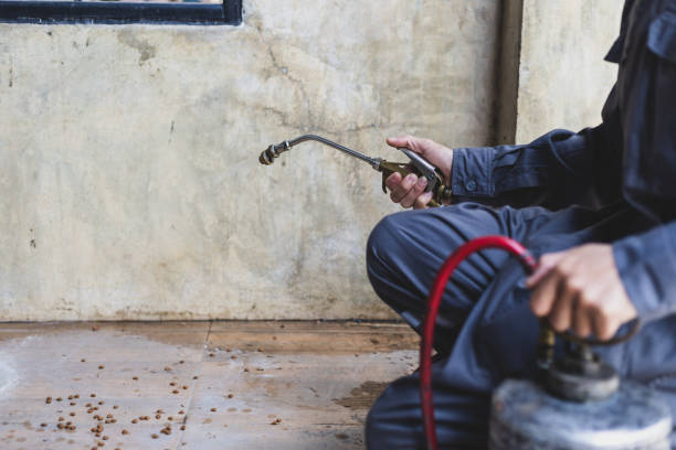 Best Flea Control Services  in Agua Dulce, TX